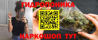 дурь Шебекино